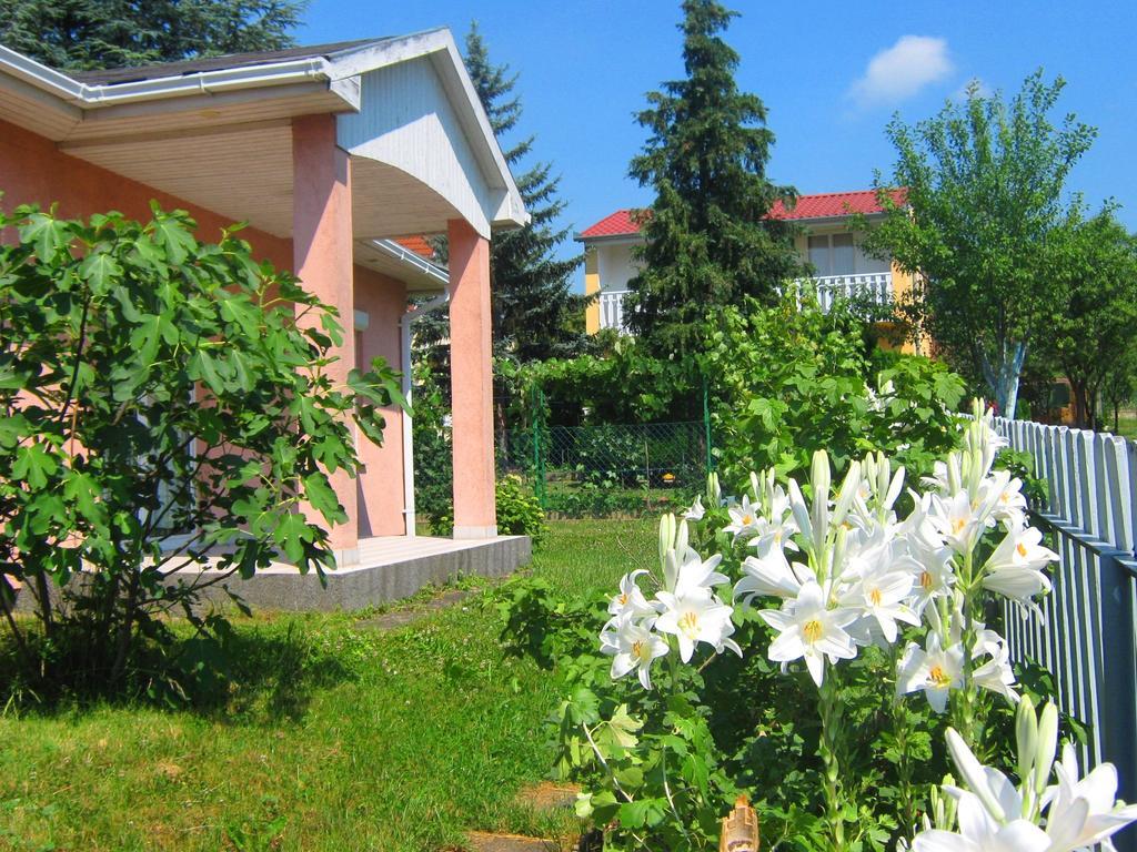 Feszek Apartmanhaz Vonyarcvashegy Luaran gambar
