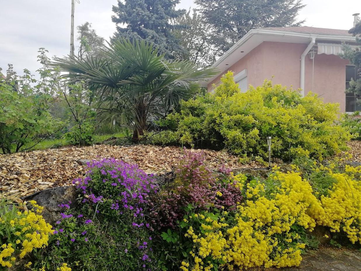 Feszek Apartmanhaz Vonyarcvashegy Luaran gambar