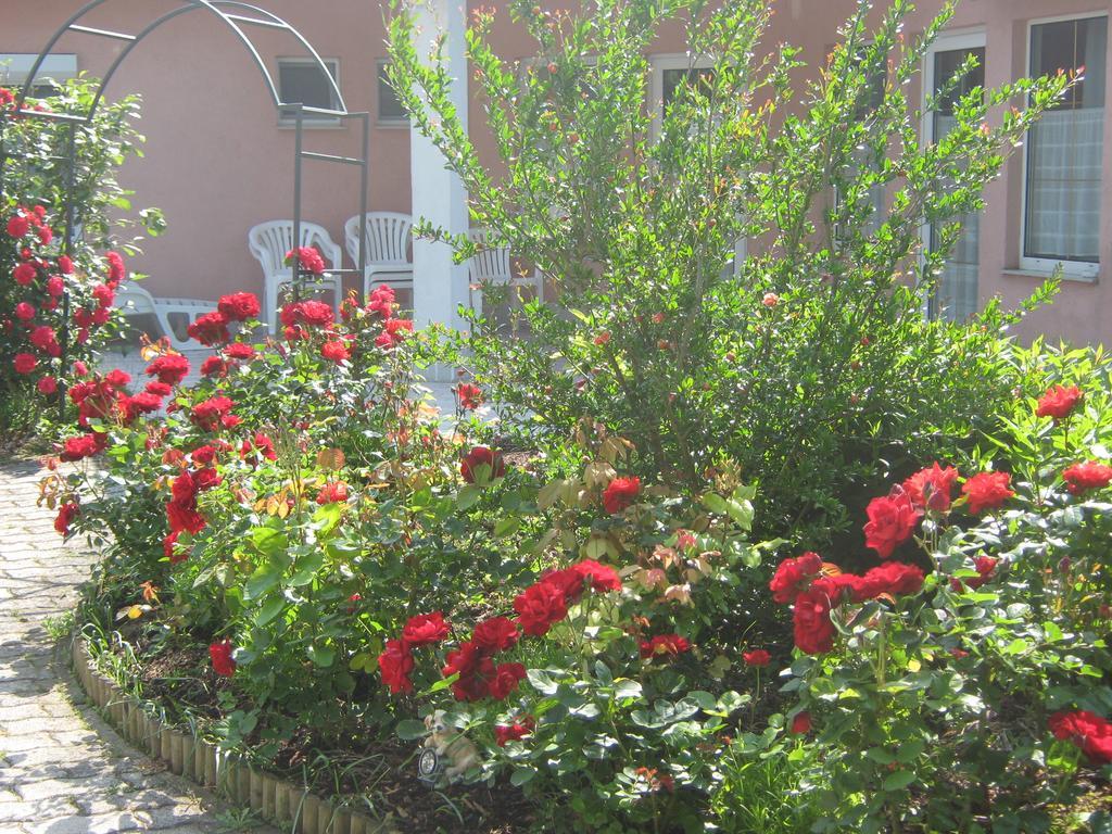 Feszek Apartmanhaz Vonyarcvashegy Luaran gambar